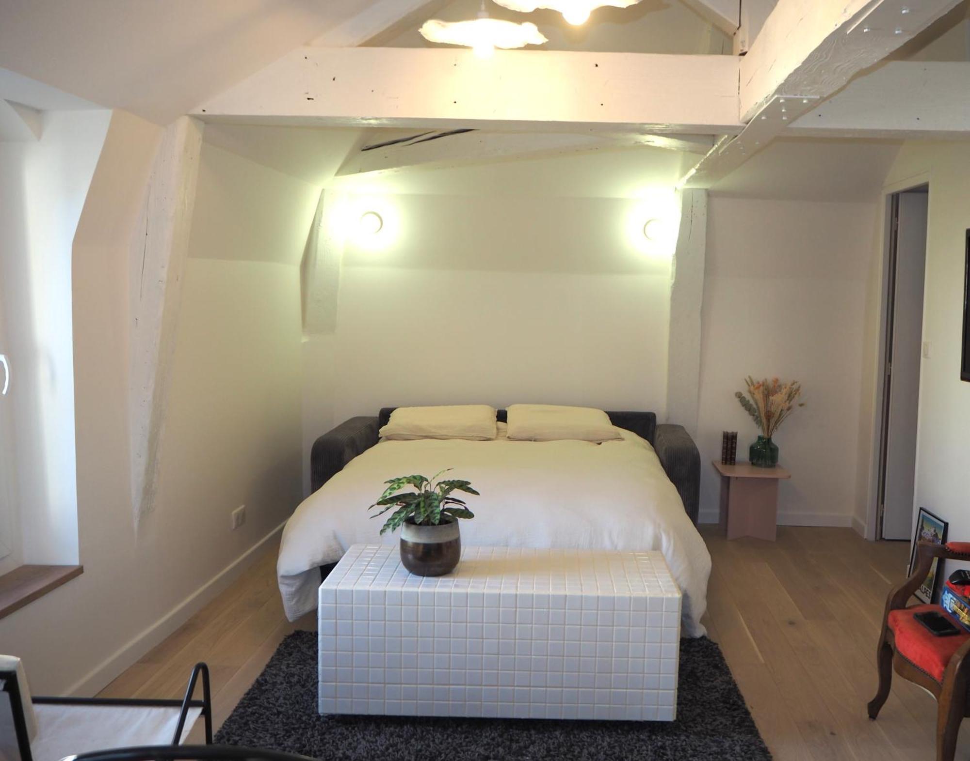 Les Baleines - Hypercentre 2 Chambres Avec Garage Et Clim - Air Conditioning 格勒诺布尔 外观 照片