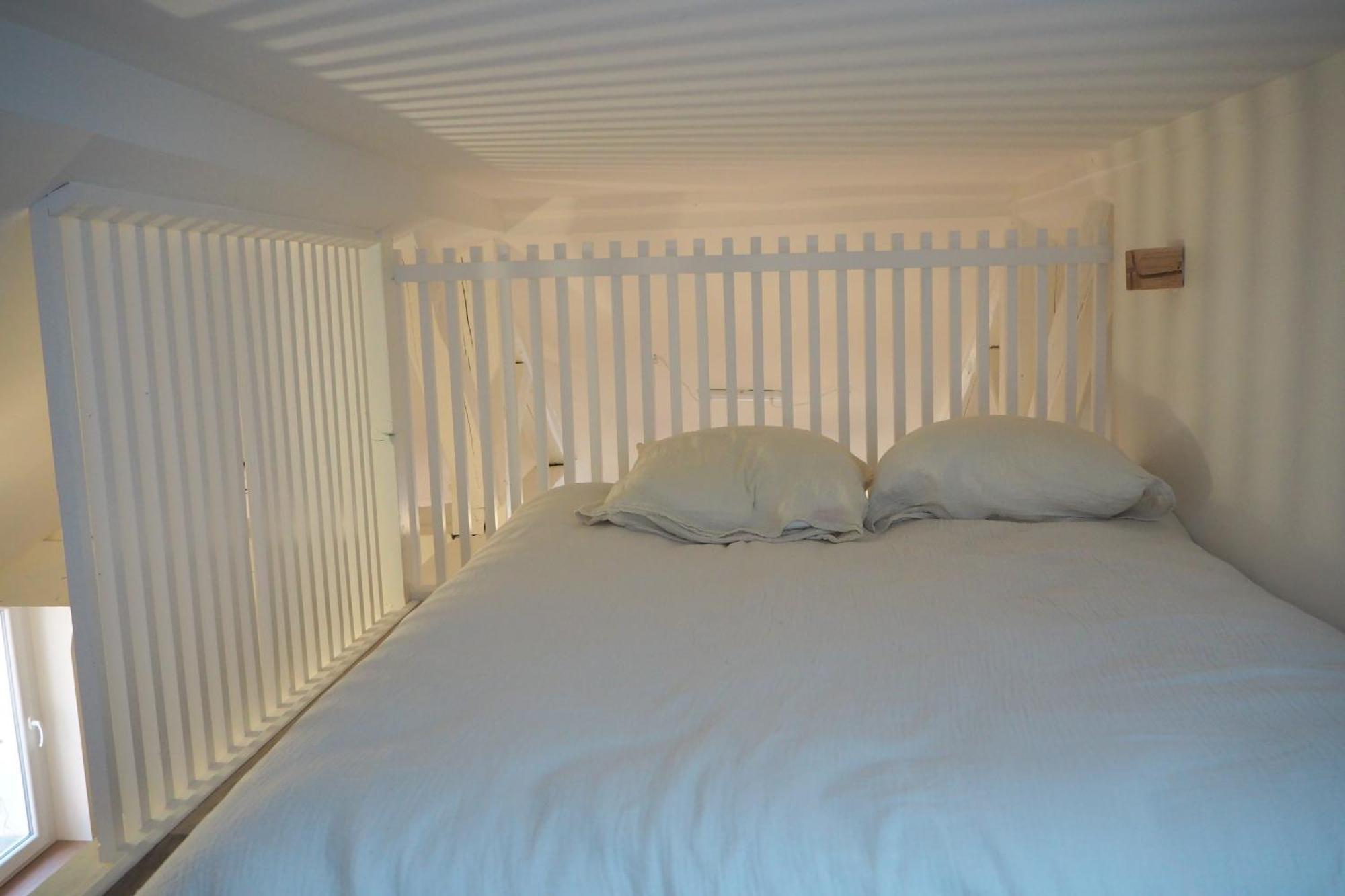 Les Baleines - Hypercentre 2 Chambres Avec Garage Et Clim - Air Conditioning 格勒诺布尔 外观 照片
